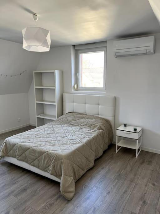 Appartement F5 Maison De Maitre Mulhouse Exterior foto