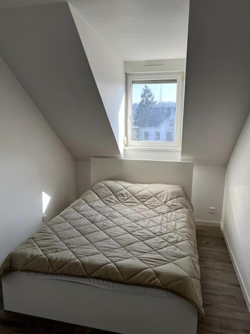 Appartement F5 Maison De Maitre Mulhouse Exterior foto